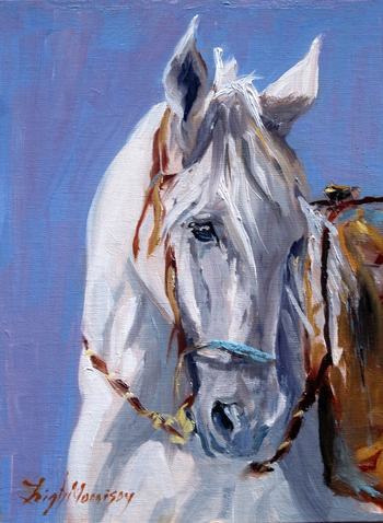 Leigh Morrison